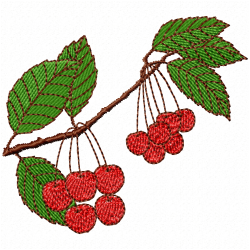 Cherry Embroidery Design 4